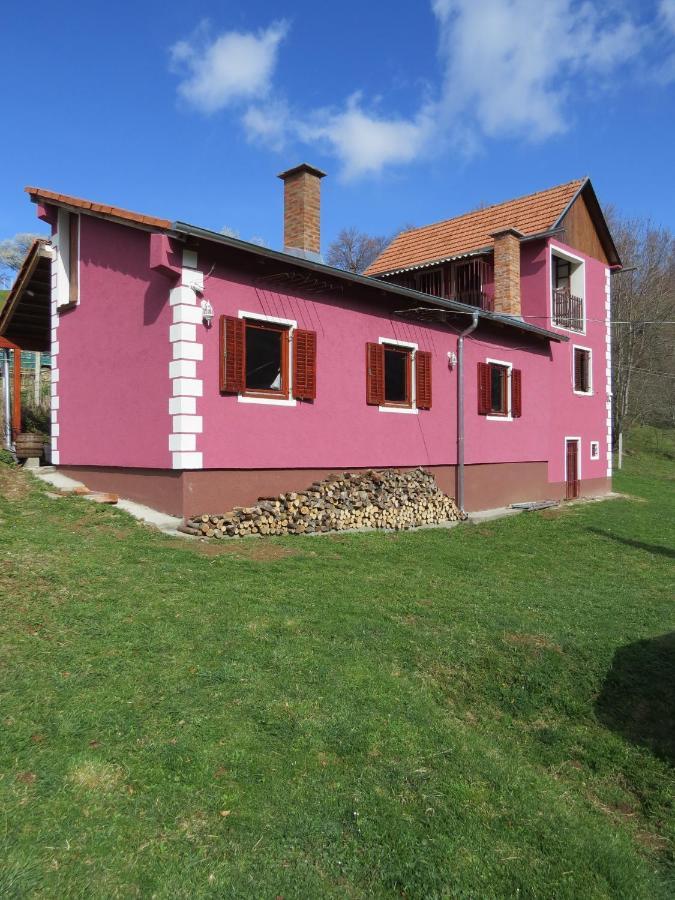 Planinska Kuca Mitke Vila Prolesje Exterior foto