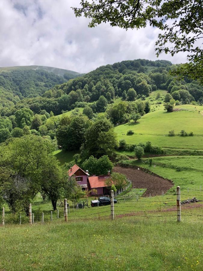 Planinska Kuca Mitke Vila Prolesje Exterior foto